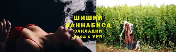 дурь Сатка