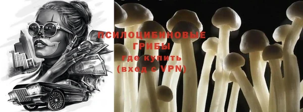 дурь Сатка