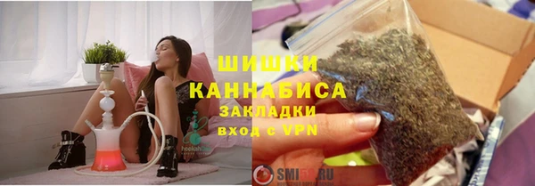 дурь Сатка