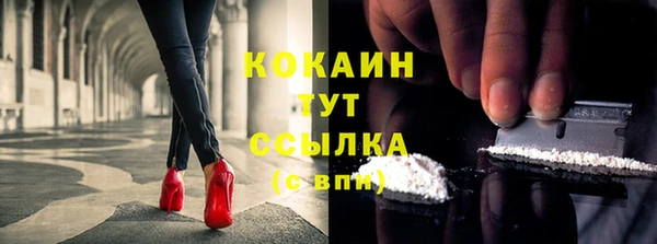 стаф Рославль