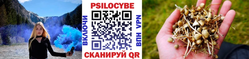 Галлюциногенные грибы Cubensis  Купить закладки  Пыть-Ях 